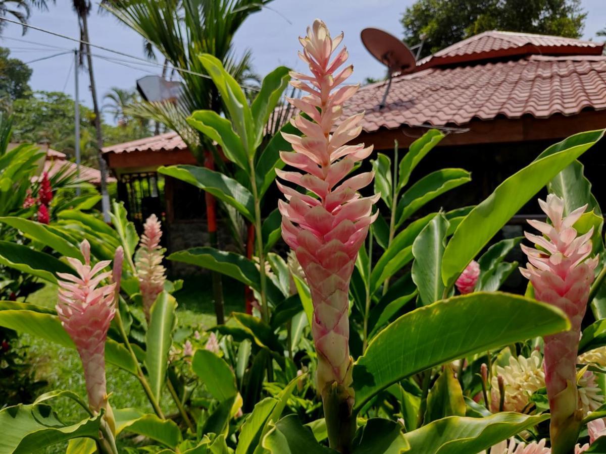 Bungalows Malu カウイータ エクステリア 写真